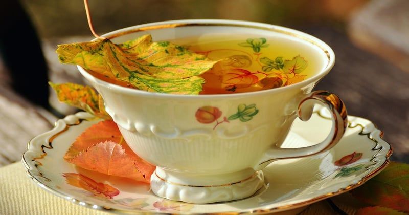 Comment entretenir votre porcelaine au lave-vaisselle sans l'abîmer