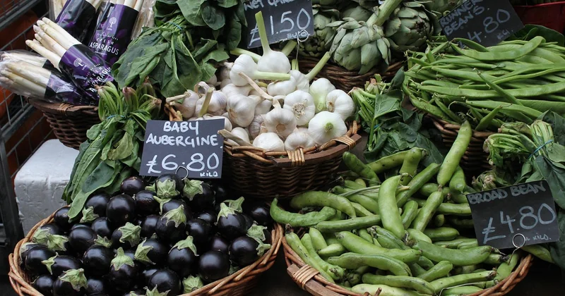 Stannah vs Acorn vs autres marques : le vrai rapport qualité-prix