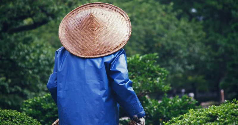 « La Maison du Jardinier » : le concurrent à ne pas confondre