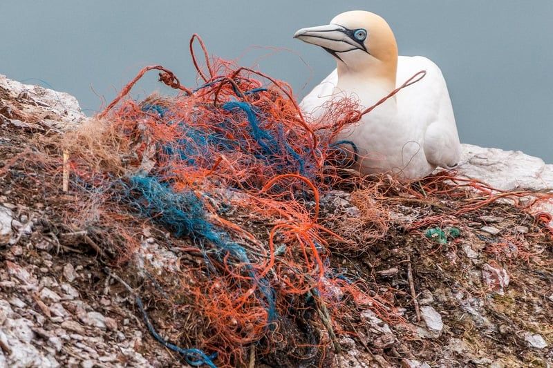 L'équerre plastique en 2026 : pourquoi la choisir pour vos projets précis