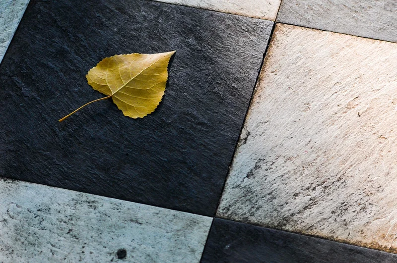 2. Choisir le type de carrelage : au-delà du look
