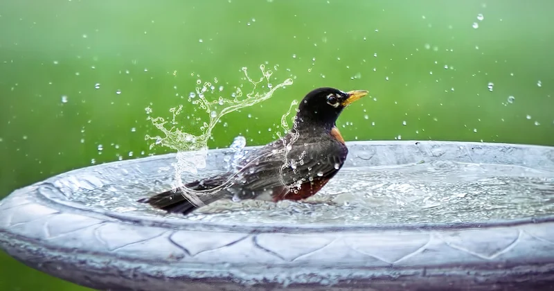 Où placer vos paniers selon la zone de la salle de bain