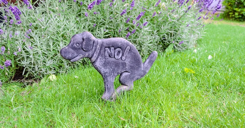 Que risque-t-on concrètement à utiliser un désherbant interdit ?