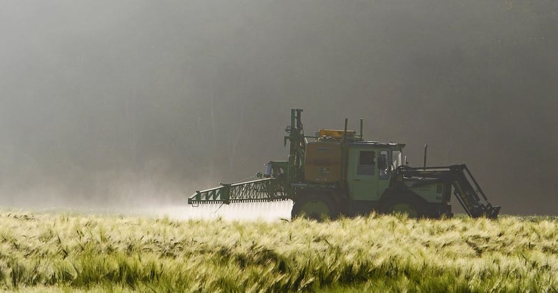 Roundup Ultra Plus : le désherbant puissant qui fait la différence