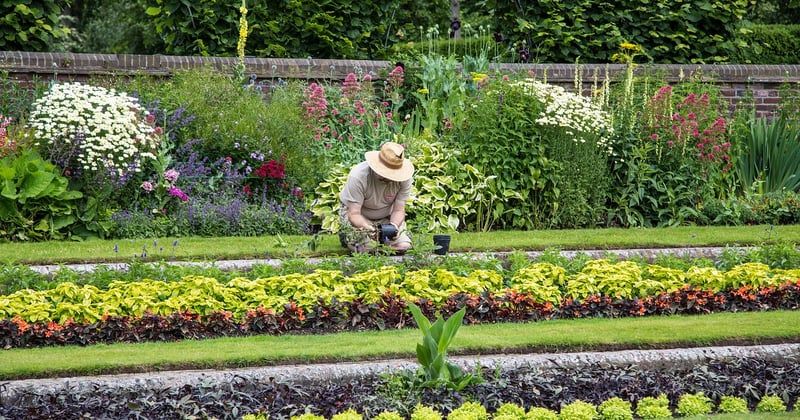 La boutique du jardinier : vos secrets pour un jardin qui cartonne