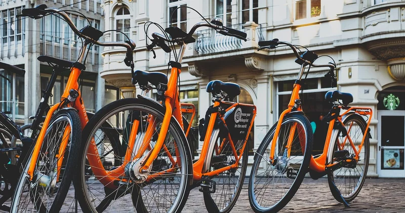 Comment obtenir le meilleur prix pour votre location de benne à végétaux ?