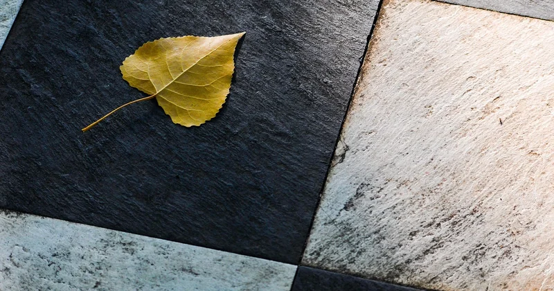 Coût et durabilité : combien ça coûte vraiment, et combien ça tient