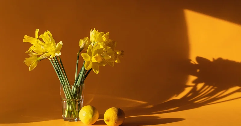 Astuces pour un lavage optimal au lave-vaisselle
