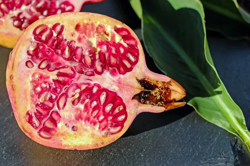 Produits anti-vers : ce qui marche vraiment et ce qu'il faut éviter