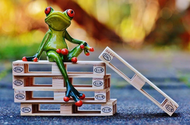 la grenouille