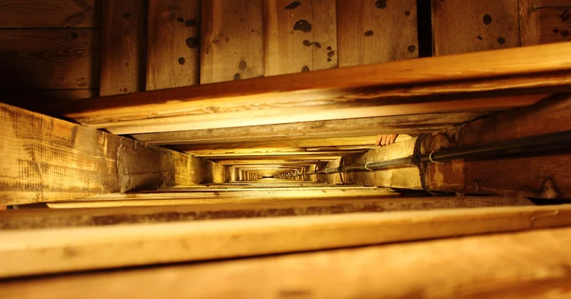 Neuf, reconditionné ou location : que choisir ?